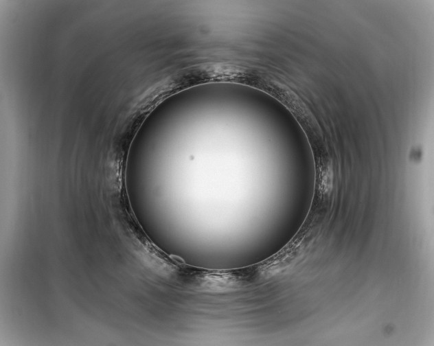 X0000099580666200805161237