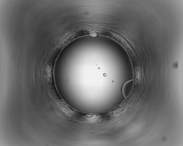 X0000099580667200805161237