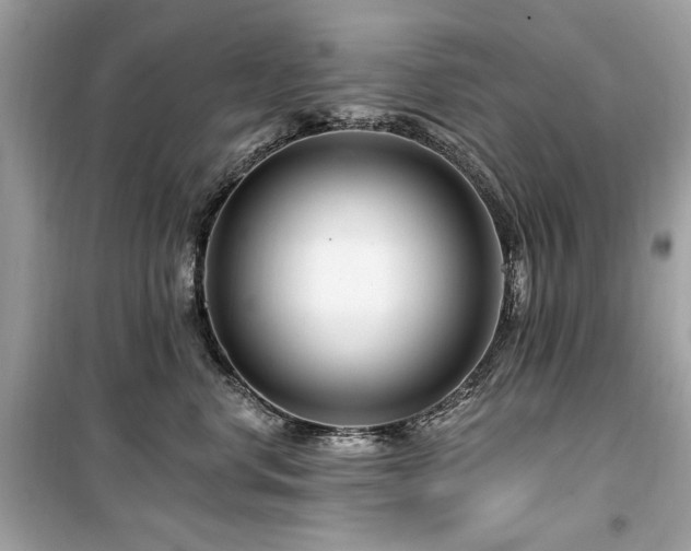 X0000099580668200805161237