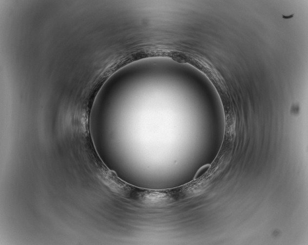 X0000099580669200805161237