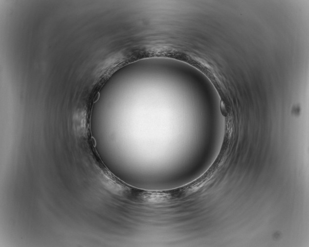 X0000099580670200805161237