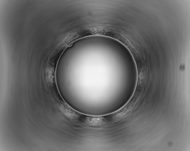 X0000099580671200805161237