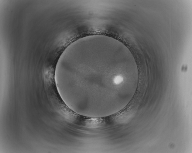 X0000099580672200805161237