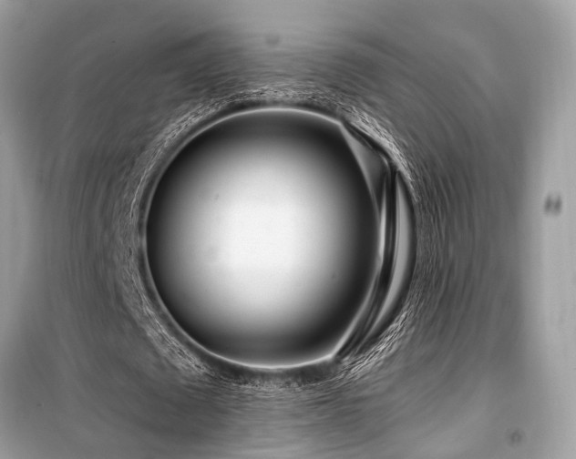 X0000099580673200805161236