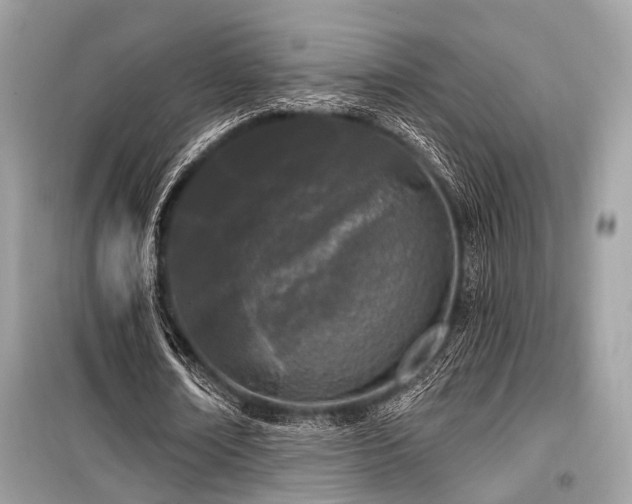 X0000099580674200805161236