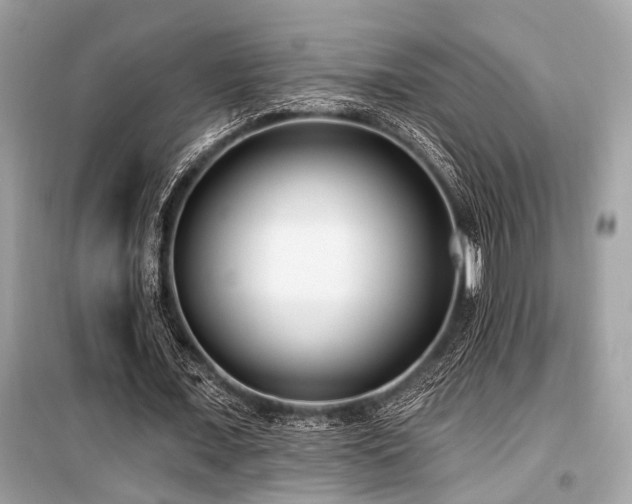 X0000099580675200805161236