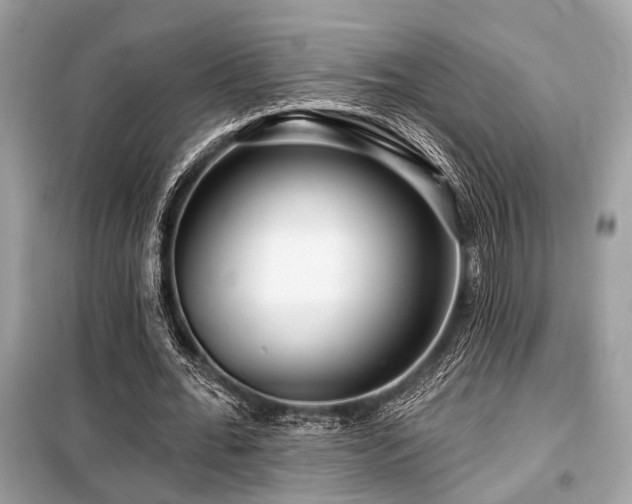 X0000099580676200805161236