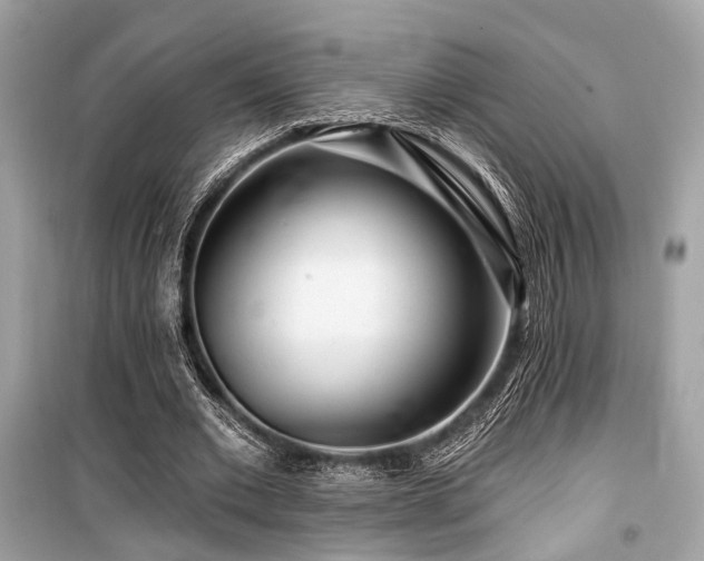 X0000099580677200805161236