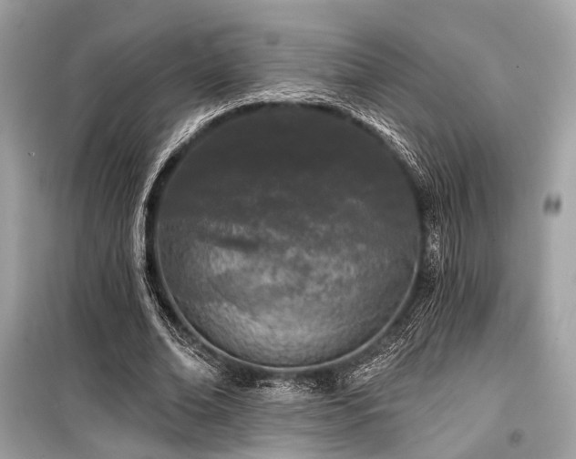 X0000099580678200805161236