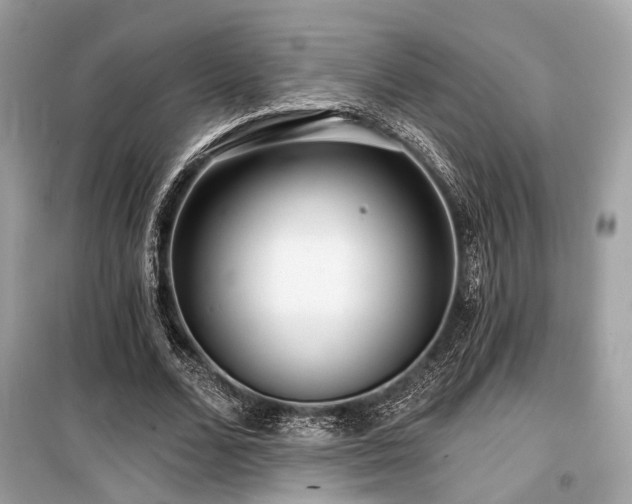 X0000099580680200805161236