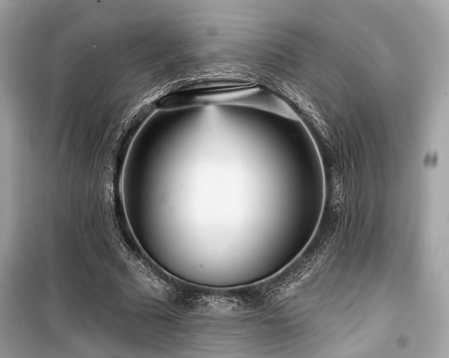 X0000099580681200805161236