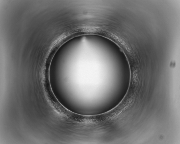 X0000099580682200805161236