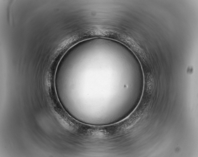 X0000099580683200805161236