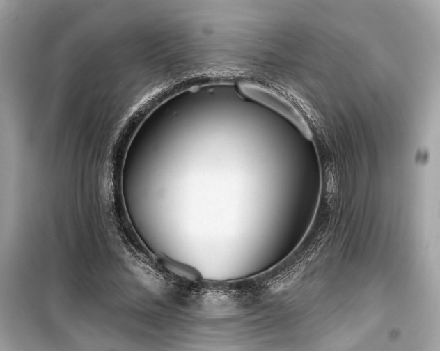 X0000099580684200805161236
