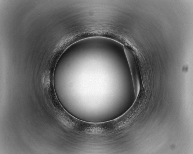 X0000099580685200805161236