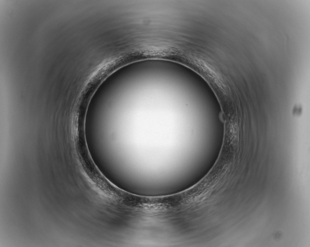 X0000099580686200805161236