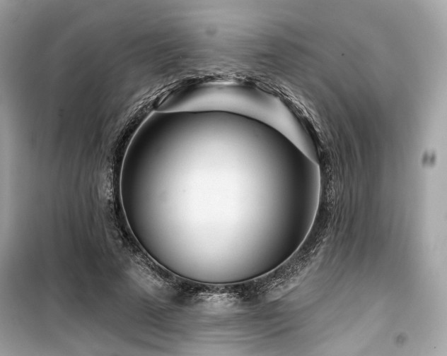 X0000099580689200805161236