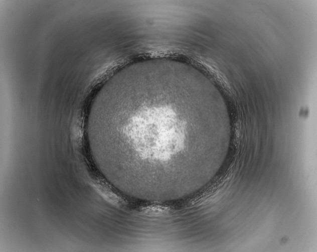 X0000099580691200805161236