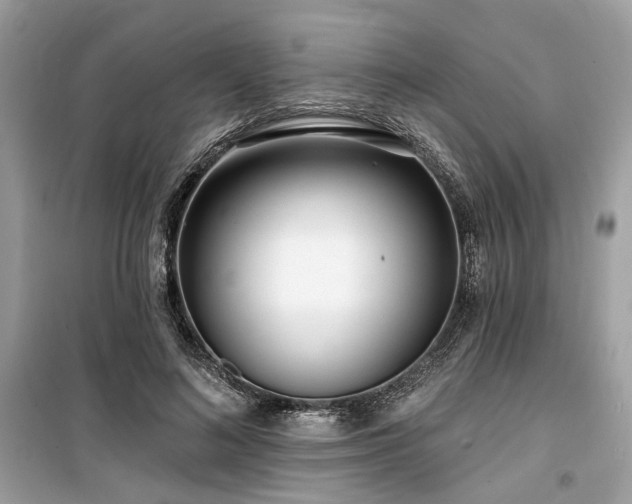 X0000099580692200805161236