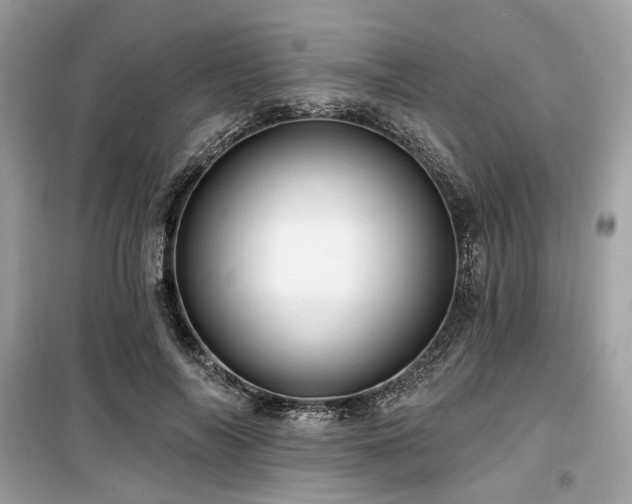 X0000099580694200805161236