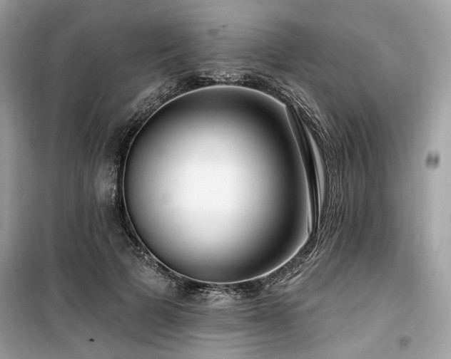 X0000099580697200805161236
