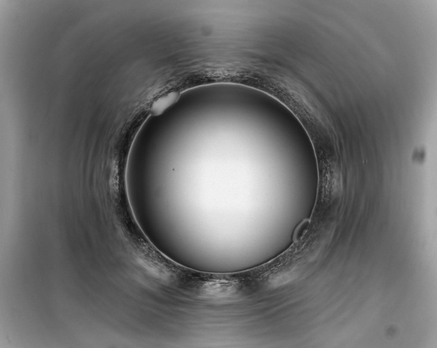 X0000099580700200805161236