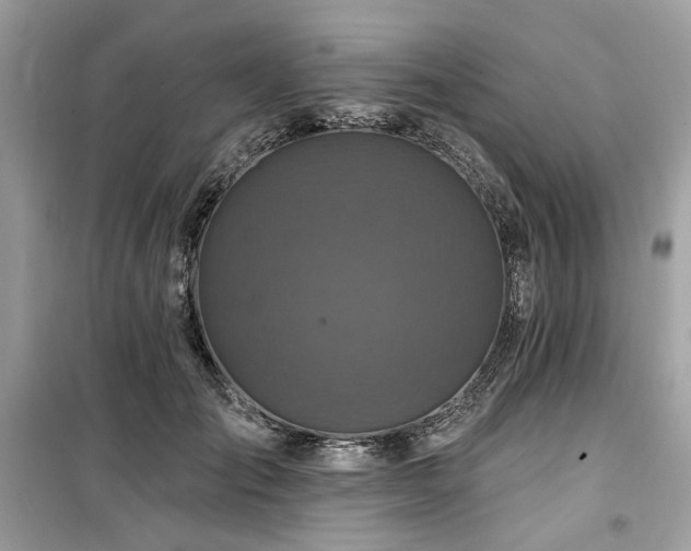 X0000099580701200805161236