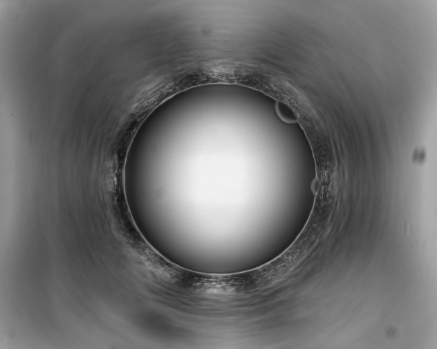 X0000099580702200805161236