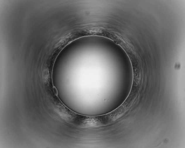 X0000099580704200805161236