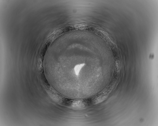 X0000099580705200805161236