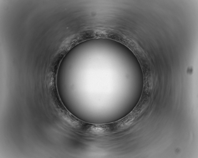 X0000099580706200805161236