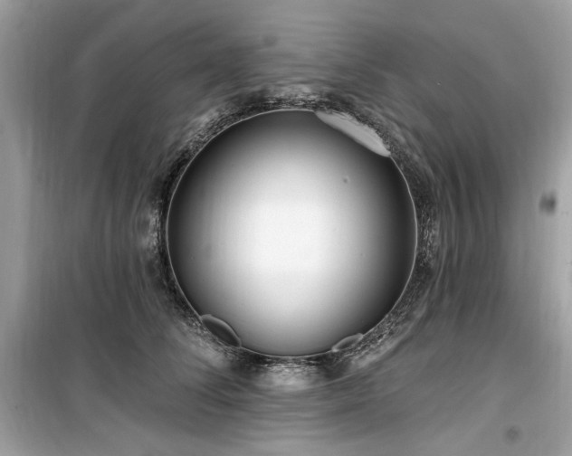 X0000099580708200805161236
