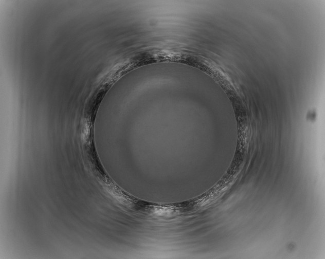 X0000099580709200805161236