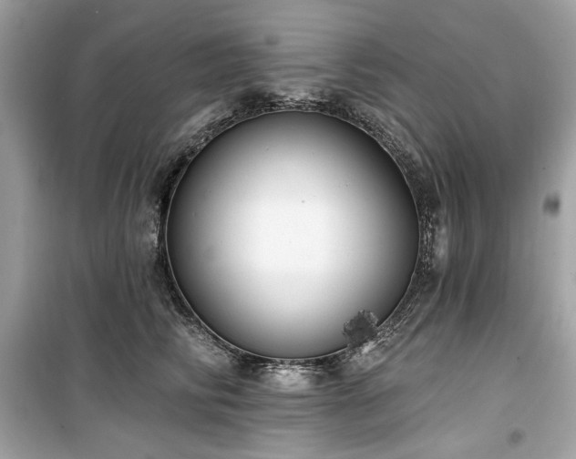 X0000099580710200805161236