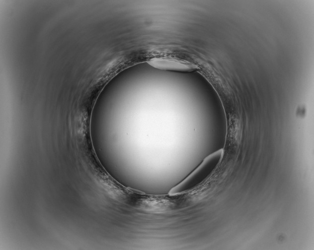 X0000099580712200805161236