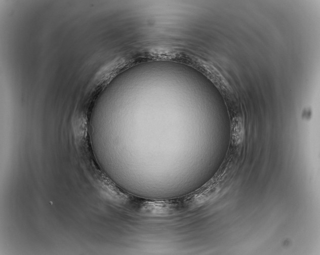 X0000099580713200805161236