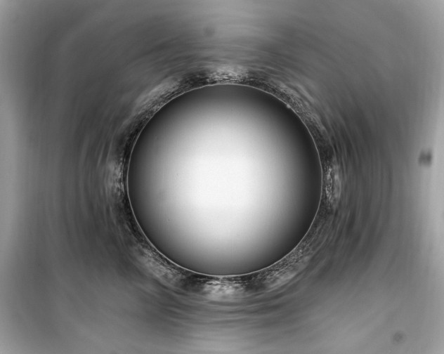 X0000099580714200805161236