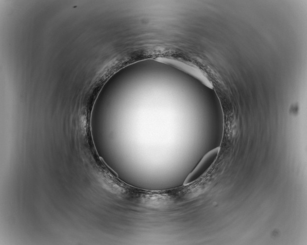 X0000099580716200805161236