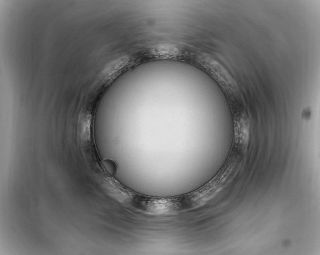 X0000099580717200805161235