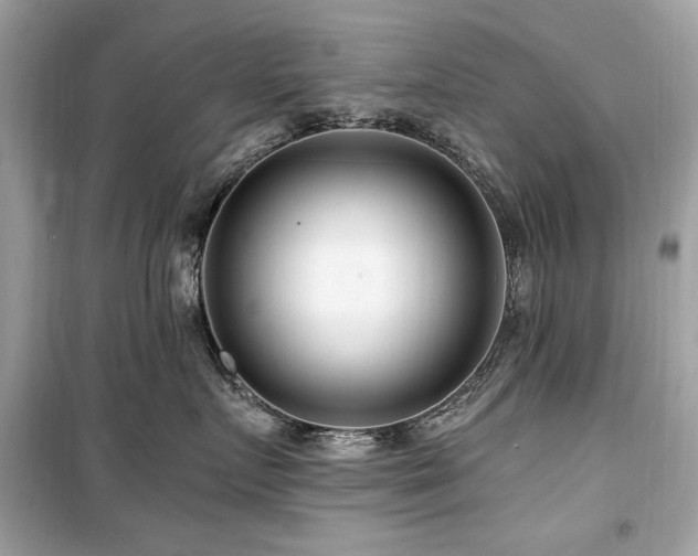 X0000099580719200805161235