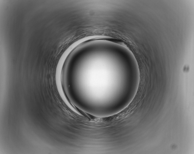 X0000099580720200805161235