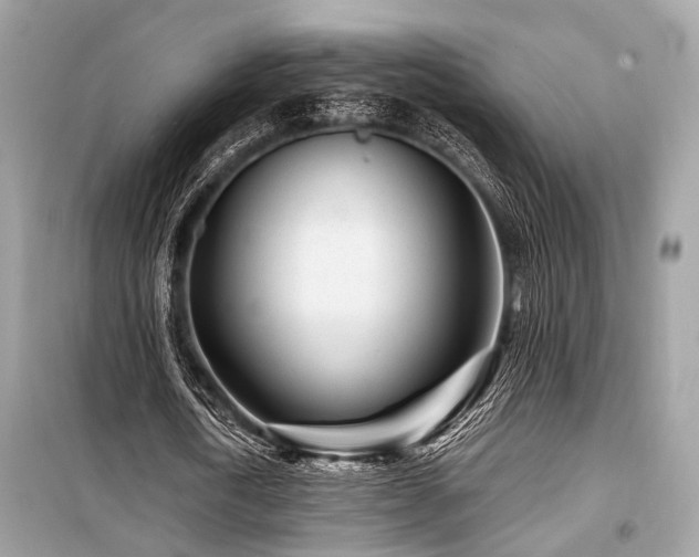X0000099580722200805161235