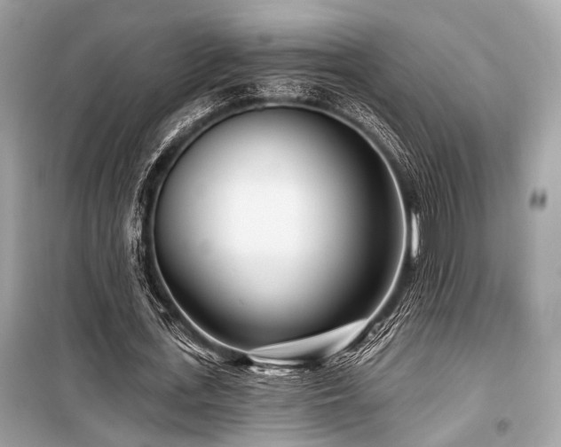 X0000099580723200805161235