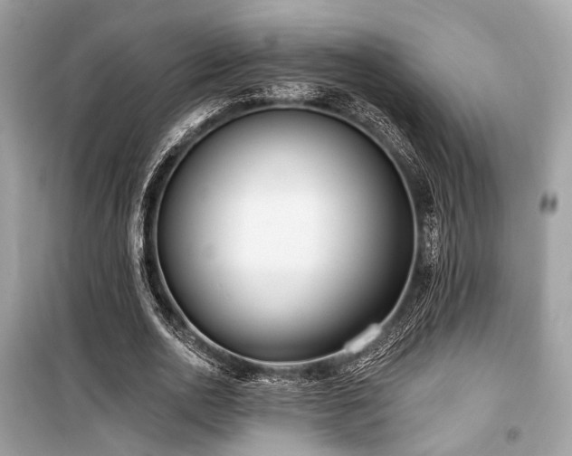 X0000099580726200805161235