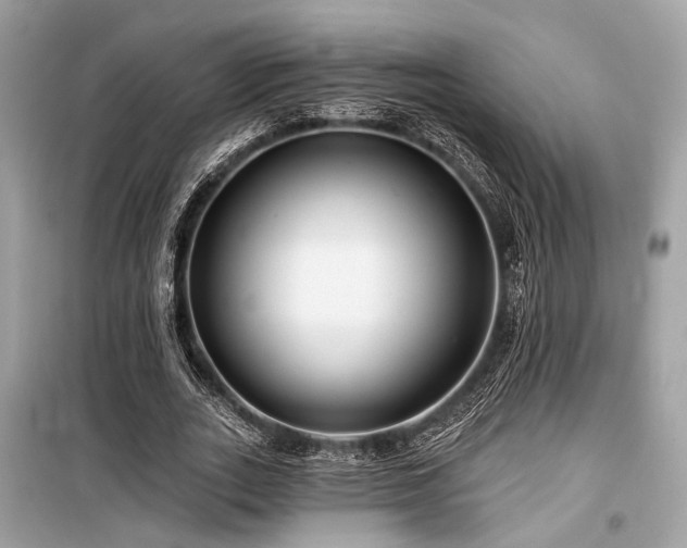 X0000099580727200805161235