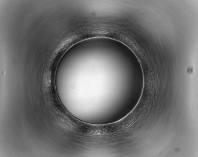 X0000099580731200805161235