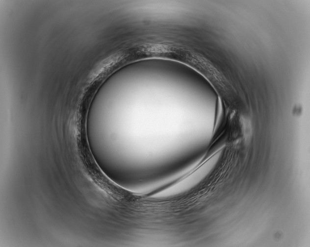 X0000099580732200805161235