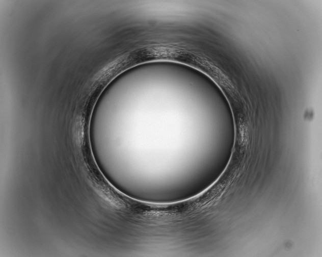 X0000099580733200805161235