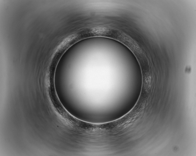 X0000099580734200805161235