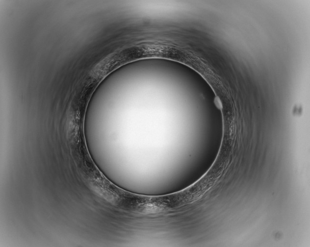 X0000099580737200805161235
